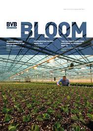 Our potting soil for indoor gardens. Bvb Substrates Magazine Bloom 1 English By Bvb Substrates Issuu