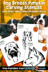dog breeds pumpkin carving stencils woo jr kids activities children s publishing