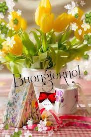 Buon Compleanno Graziella Buono Compelanno Collection Immagini