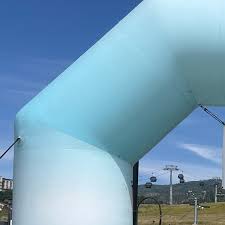 Noah Clapp, a kidney donation recipient, received a life-changing gift in  September 2021 after battling Alport Syndrome throughout his teens and  young adulthood. Inspired by his father and donor, Brian, a lifelong