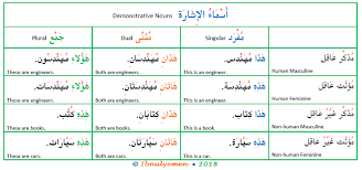 Since this has a noun (david) and a possessive personal pronoun (my), the noun david needs to have an 's. Arabic Demonstrative Pronouns Arabic Language Blog