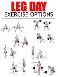 Top 9 Best Leg Exercises For You To Build Size Free Gym Fitness Workouts Leg Workouts Gym Best Leg Workout Leg Workouts For Men
