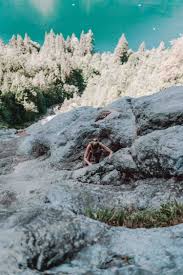 Konigssee Naturpool Und Wasserfall Weg Und Die Schonsten Platze Urlaub Berchtesgaden Natur Pool Natur