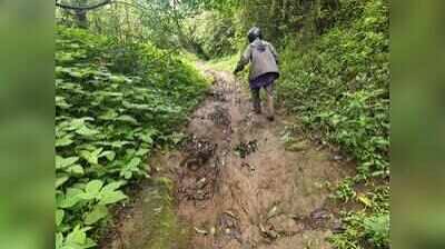 Kolhapur teacher treks 5km through dense forest one way to keep two girls in school | Pune News - The Times of India