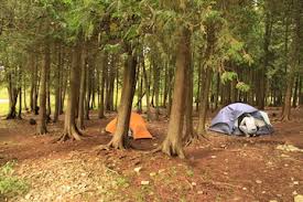 A 250 site campground is the furthest south of all the campgrounds making it farthest away from the typical door county sites, but it is closest to green bay and potawatomi state park. Rock Island Camping What To Know Before You Go Door County Pulse