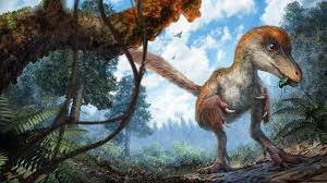 Dinosaur extinction facts and information | National Geographic