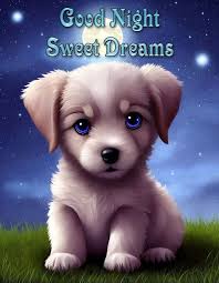 Judy Hurtt (hurtt1157)