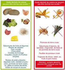 Vive La Retraite Les Aliments A Ne Pas Donner Aux Poules Alimentation Poule Alimentation Nourriture Chien