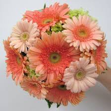 Follow our simple tutorial showing you how to make a wedding bouquet!where else to find us:be sure to check out. Soft Peach Buffalo Wedding Event Flowers By Lipinoga Florist Peach Wedding Flowers Flower Bouquet Wedding Peach Flowers