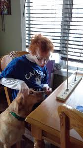 Noah Brassil Obituary (2016)