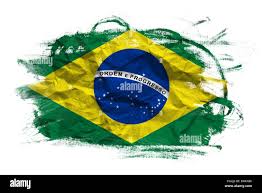 نتیجه جستجوی لغت [brasil] در گوگل