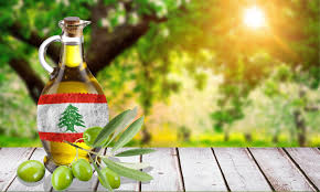 Lebanese Olive Oil Extra Virgin Health Benefits Nouri Brothers