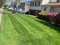 No contract lawn care / snow removal service is delivered within the same day. Eden Grass Cutting Services Request A Free Estimate