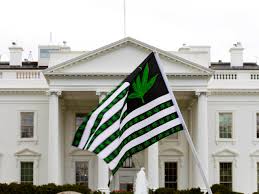 Resultado de imagen de Legalization