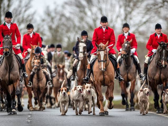 Pro-foxhunting group says UK hunters should be protected ethnic minority | Hunting | The Guardian
