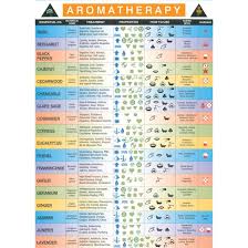 Only use colors contained in the sap fiori chart palettes you should only use colors from the sap fiori color palettes to ensure that we maintain visual design consistency across all charts used in all. Colors And Essential Oils Kea0