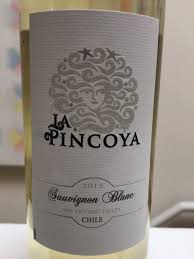 La pincoya es una sirena rubia que, según el mito, vive en los mares de la isla de chiloe en el sur de chile. La Pincoya Sauvignon Blanc Vivino