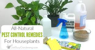 Pro grade products and expert advice. Natural Pest Control For Houseplants Say No To Toxic Pesticides Get Busy Gardening