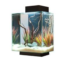 Fluval Edge Aquarium Kit In Black Fluval Edge Fish Tank And Desktop Fish Tank From Petco Com Betta Fish Tank Tropical Fish Aquarium Aquarium Fish Tank