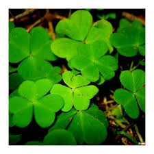 Maybe you would like to learn more about one of these? Bring Me Good Luck By Danutza88 On Deviantart