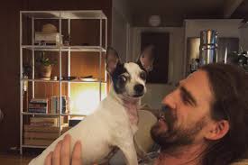 Fundraiser for Mickayla Fobbs by Eunice Fitzgerald : Ringo Needs Help!