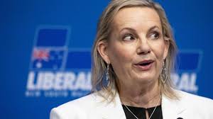 Dutton is going to lose his mind when he loses this election.... :  r/friendlyjordies