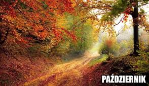 Październik ciekawostki - Paczka wiedzy