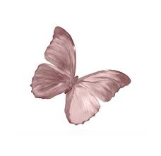 Pin By Mariam Abdelaziz On Polyvore Pngs Butterfly Printable Butterfly Wallpaper Aesthetic Stickers