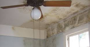 We did not find results for: How To Prevent And Remove Damp Mould Growth In The House