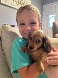 4 years ago his Doctor said: Be careful he is allergic to eggs Today GOD  said: NO HE IS NOT… 🙏🏼🥹