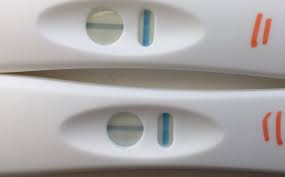 Sainsburys Healthcare Pregnancy Test Instructions Pregnancy Test