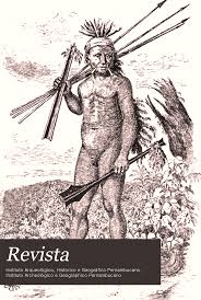 Revista Instituto Arqueológico , Histórico e Geográfico Pernambucano ,  Instituto Archeológico e Geographico Pernambucano