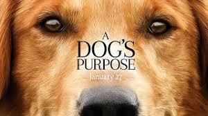 Sonic the hedgehog has become a favorite character of many children. A Dog S Purpose W Bruce Cameron Macmillan
