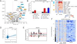 Cadou nou nascut caciuli dama iarna elegante botine de vara cadouri nou nascuti bluza trening adidas dama brasov alba iulia km cadouri baieti 13 ani bocanci militari de vara. Phosphoproteomics Identifies Microglial Siglec F Inflammatory Response During Neurodegeneration Biorxiv