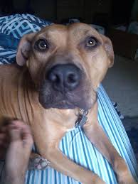 Kailey Arthur (@kayarth25)