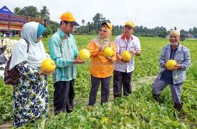 Contextual translation of kebaikan makan buah buah tempatan into english. Fama Pergiat Usaha Galak Orang Ramai Makan Buah Buahan Tempatan Utusan Borneo Online