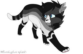 Disc By Eucalyptus Splash Warrior Cats Cat Art Warrior Cats Art