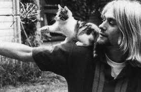 Check spelling or type a new query. 20 Years Later Reflecting On Kurt Cobain Cultural Icon And Musical Revolutionary The Badger Herald