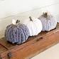 Chunky Knit Pumpkins Workshop! event image