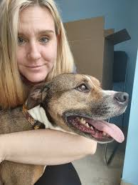 Small dog as ptsd support buddy