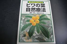 房州びわの種 葉の効果と使用方法 房州びわと山の幸 福原農園
