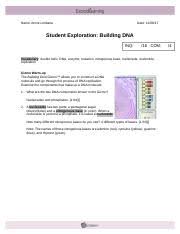 Building dna gizmo worksheet answers. Gizmo 4 Building Dna Revised Doc Name Date Student Exploration Building Dna Inq 16 Com Vocabulary Double Helix Dna Enzyme Mutation Nitrogenous Base Course Hero