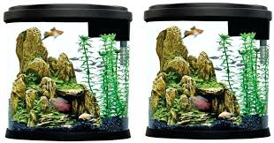 My new top fin 3.5 gallon fish tank setup, watch step by step how i set it up. Perfect Concept Top Fin Fish Tank Pynelycom