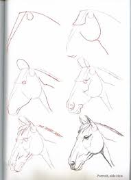 Pin Auf Ausmalbilder Pferde