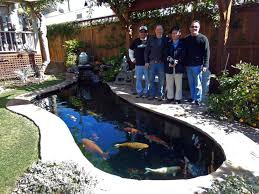These beautiful manmade ponds are specially designed to be a home for koi fish, large and colorful fish that come in a variety of brilliant colors. New Koi Pond Construction Plumbing Filter Design Questions Page 38