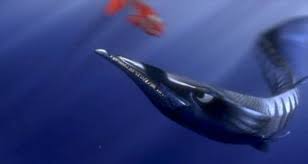 Barracuda attacks on humans, barracuda attack video, barracuda attack nemo, barracuda attacks in florida, barracuda attack puerto rico, barracuda attack effects. Toy Story 4 Easter Egg The Barracuda That Ate Nemo S Mom In Finding Nemo Is Stuffed And On The Wall