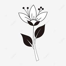 1,084 black and white flowers free clipart images. Flower Clipart Black And White Black And White Flower Line Png And Vector With Transparent Background For Free Download