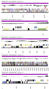 Image result for Lotononis stipulosa