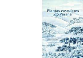 Image result for Zygophlebia villosissima