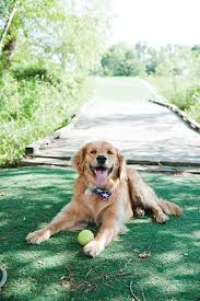 Maybe you would like to learn more about one of these? Go Play Outside St Croix Valley